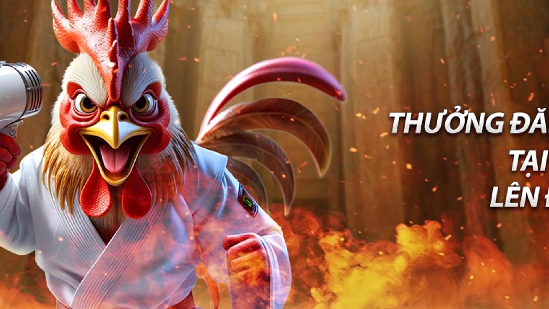 Ưu đãi độc quyền tại Oxbet